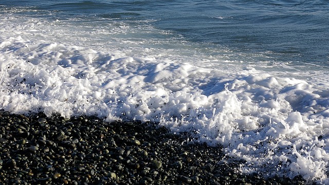 Free Sea Part photo and picture