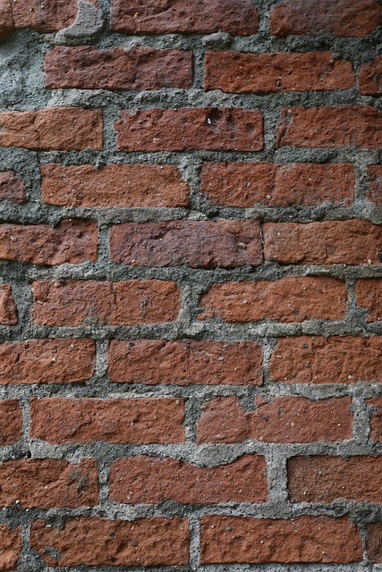 Free Brick Brick Wall photo and picture