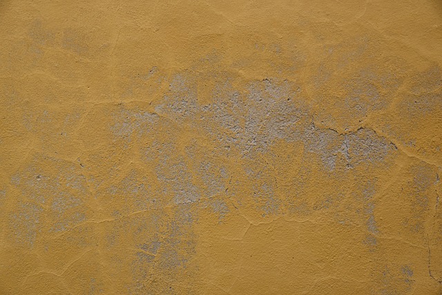 Free Wall Plaster photo and picture
