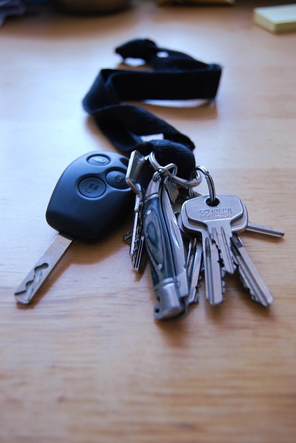 Free Keychain Morning Light photo and picture