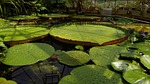 jardin des plantes, budapest, float