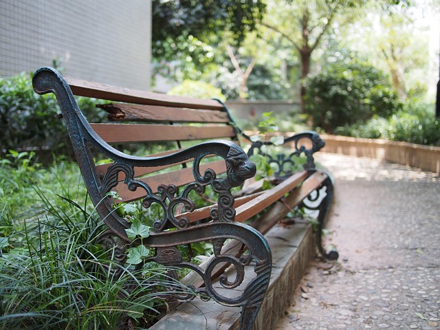 Free Park Path photo and picture
