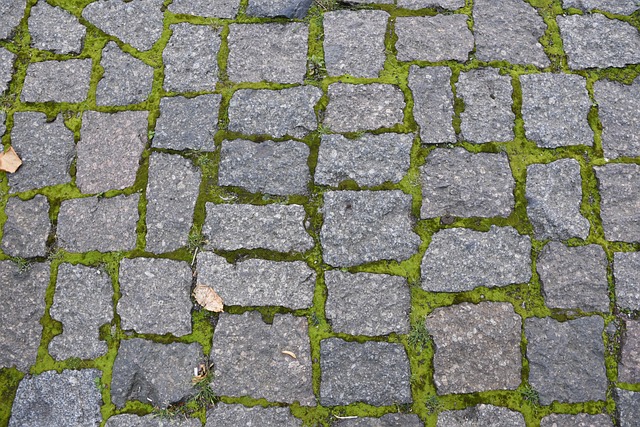 Free Paving Stones Grass photo and picture