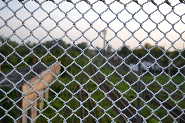 Free Metal Grid photo and picture