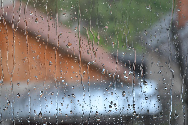 Free Rain Window photo and picture