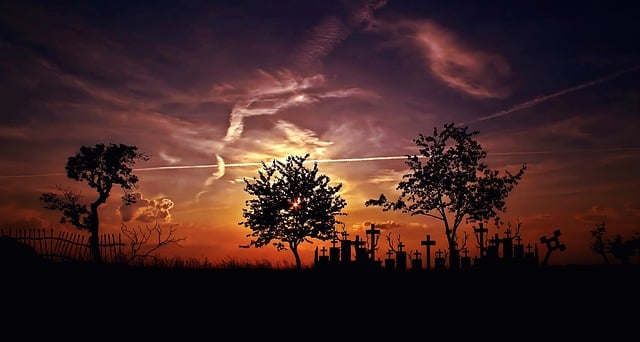Free landscape trees sunset illustration