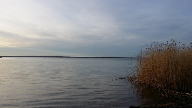 Lago, Los Guardias, Playa, Reed, Cielo