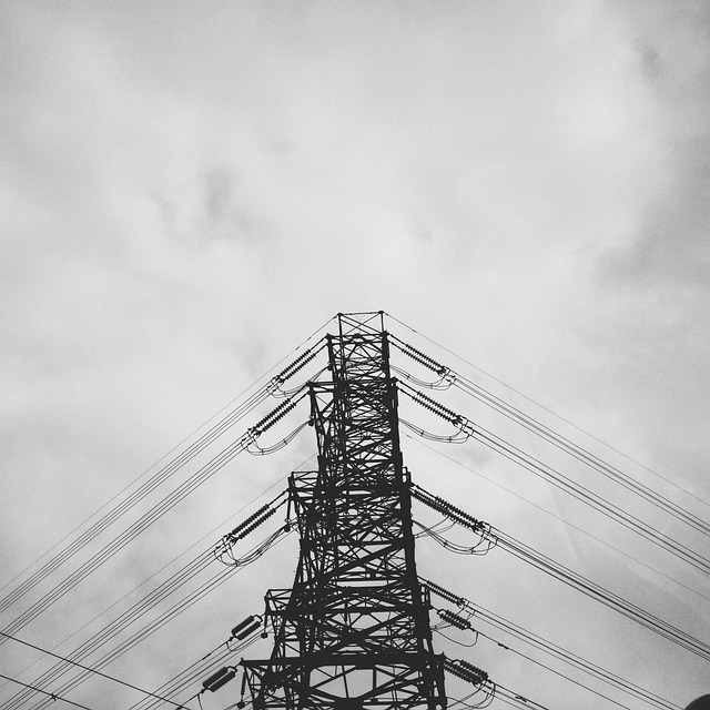 Le gouvernement attribue la capacité électrique du Pego à la Zone Franche Technologique d'Abrantes