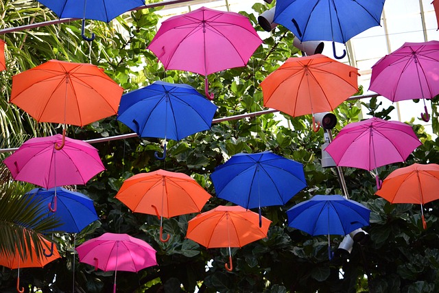 Free Umbrellas Colorful photo and picture