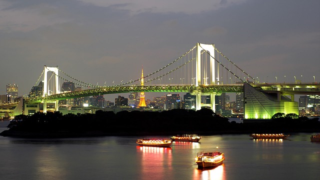 Free Bridge In The Evening photo and picture