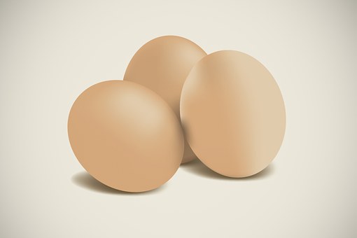 Ovo, Amarelo, Alimentos, Campo