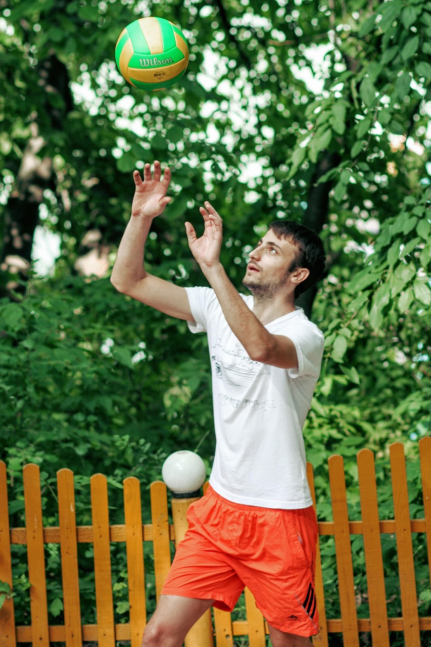 volleyball-864534_1280.jpg