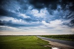 horizon, road, way