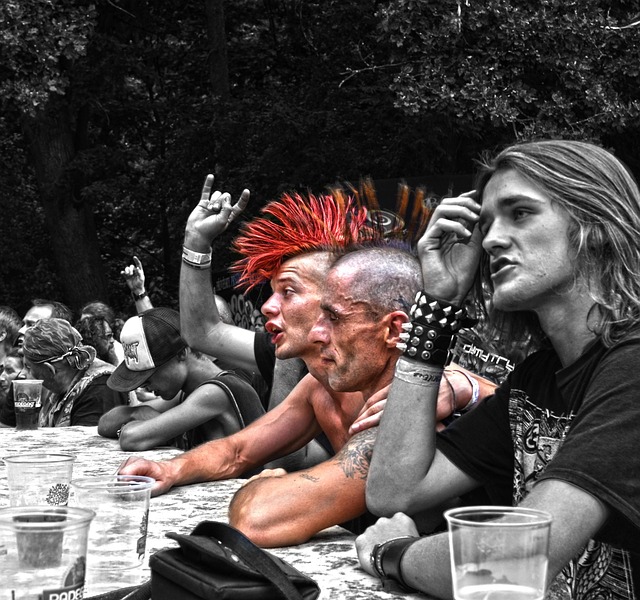 Punk Fans 60,000+ Free Punk-Rock & Punk Images - Pixabay