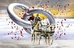 wedding, coach, love