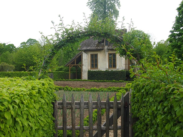 Free Paris Versailles photo and picture