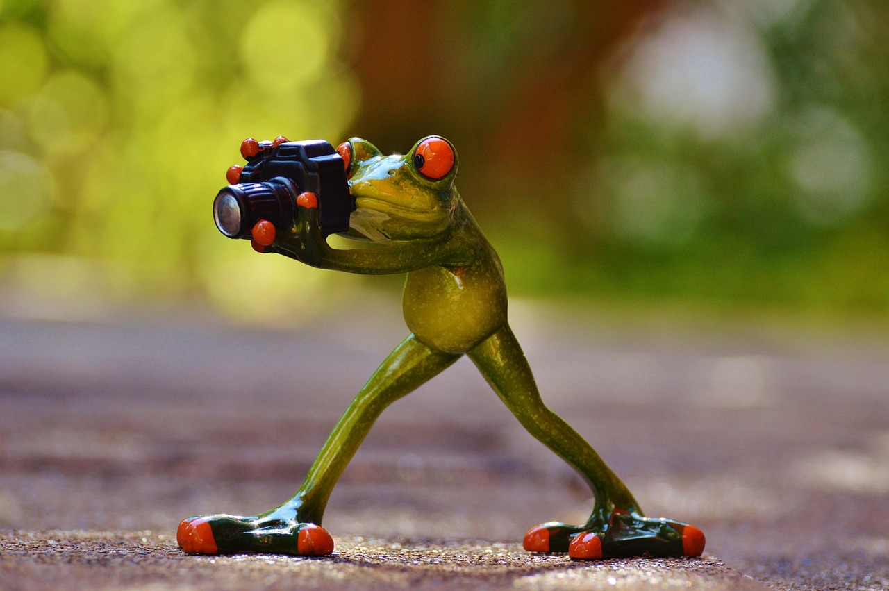 Photographer - free online jigsaw puzzle photo