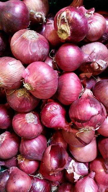 Cebolla, Verduras, Cocinero, Comida