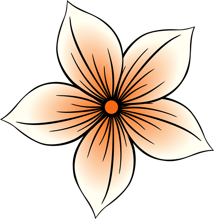Natur Blume Dekor Kostenlose Vektorgrafik Auf Pixabay