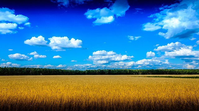 Free Nature Field photo and picture