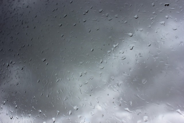 Free Rain Raindrops photo and picture