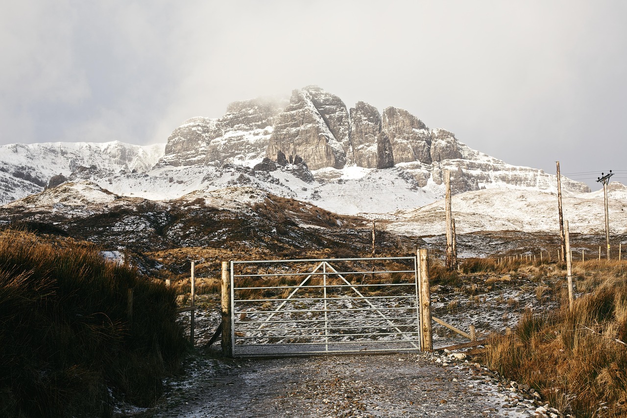 Gate - free online jigsaw puzzle photo