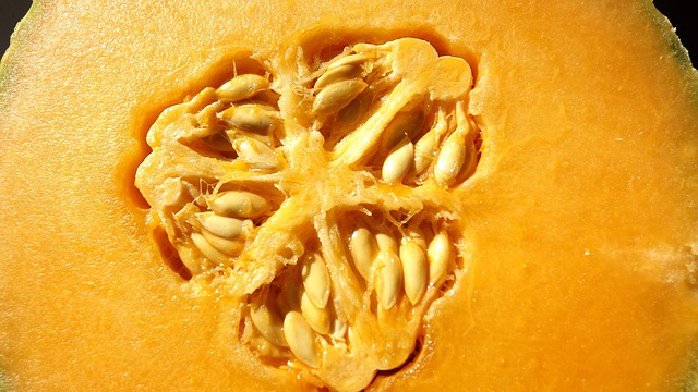Free Glitches Cantaloupe photo and picture