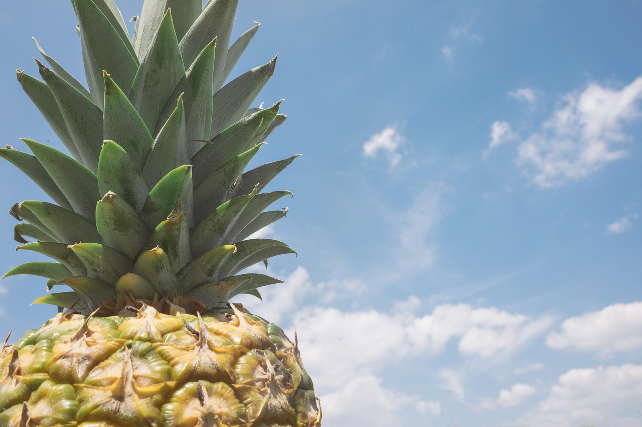 Pineapple Fruit Exotic - Free photo on Pixabay