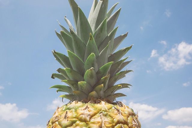 Piña Fruta Tropical - Foto gratis en Pixabay - Pixabay