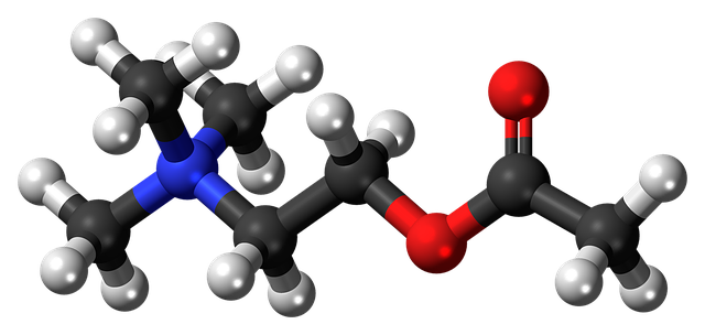 Free acetylcholine cation neurotransmitter illustration