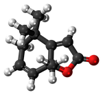 actinidiolide, pheromone, molecule