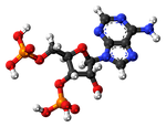 adenosine biphosphate, nucleotide, molecule