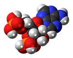 adenosine biphosphate, nucleotide, molecule