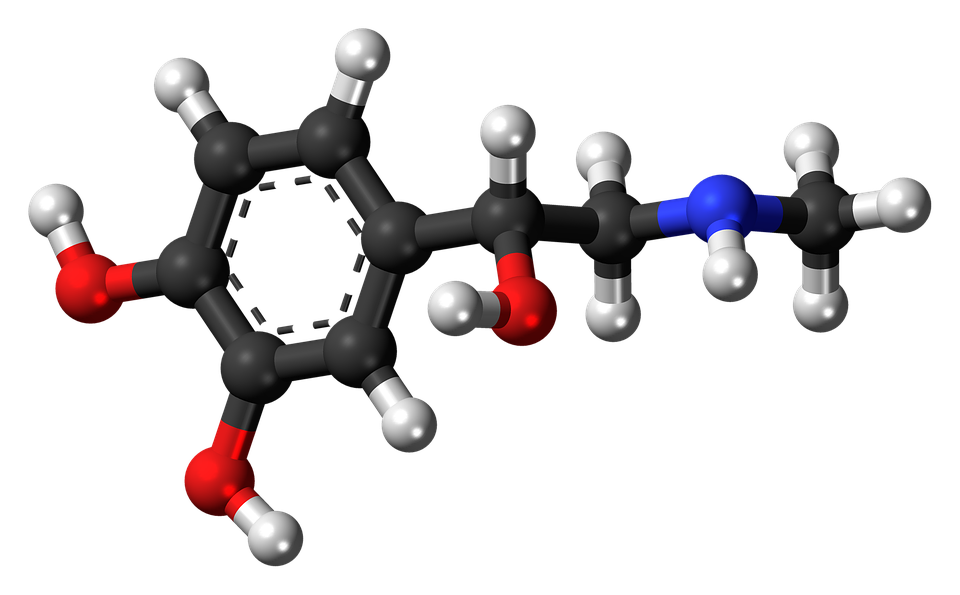 Download Adrenaline Epinephrine Hormone Royalty Free Stock 