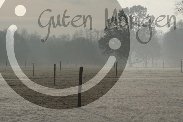 Free good morning morning mood day start illustration