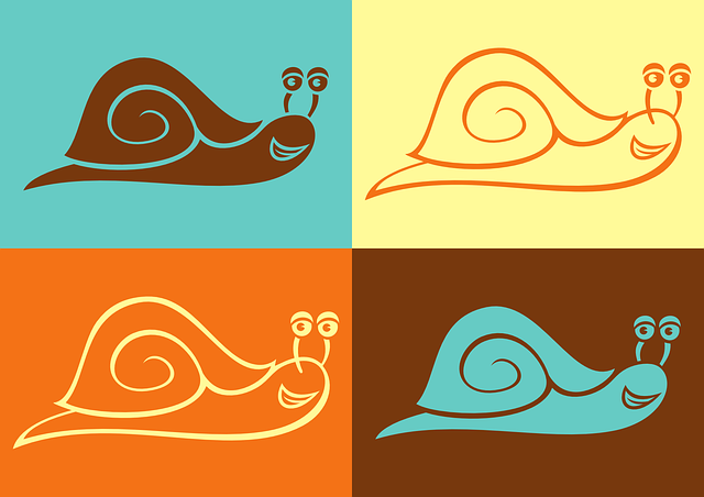 Free snail vector colored illustration