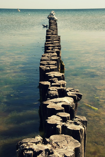 Meer, Natur, Horizont, Zukunft, Wasser