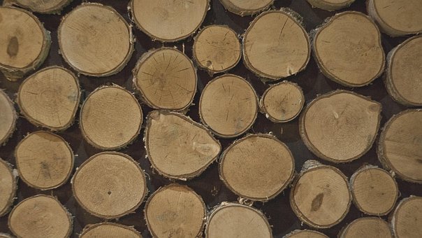 Free Logs Tree photo and picture