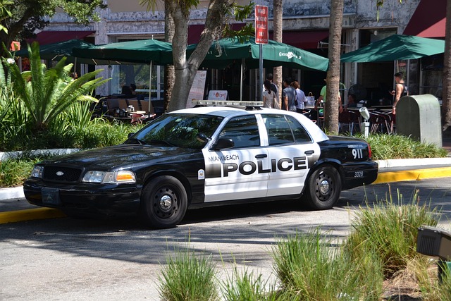Free Police Police Car photo and picture