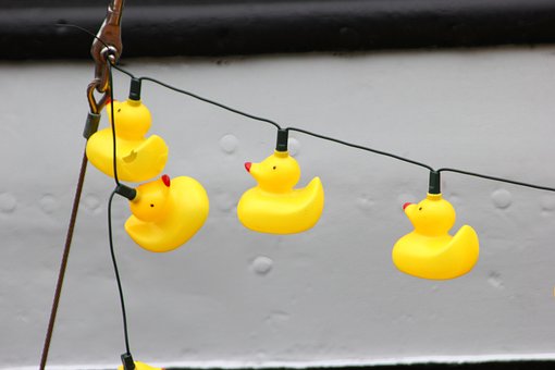 El Plastico, Patos, Vacío, Marinero
