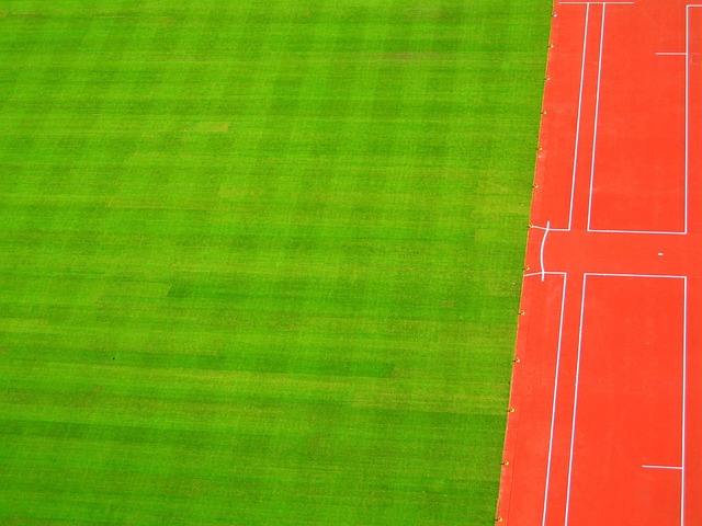 Sport, Rasen, Stadion, Leichtathletik