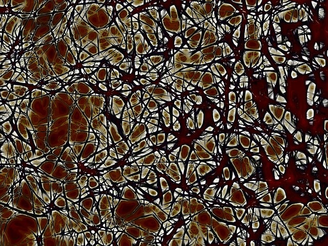 Free neurons brain cells imitation illustration