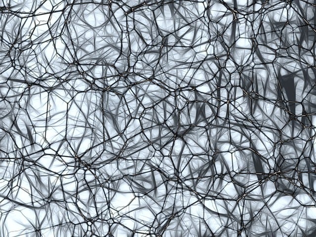 Download free HD stock image of Neurons Brain Cells Free neurons brain cells imitation illustration