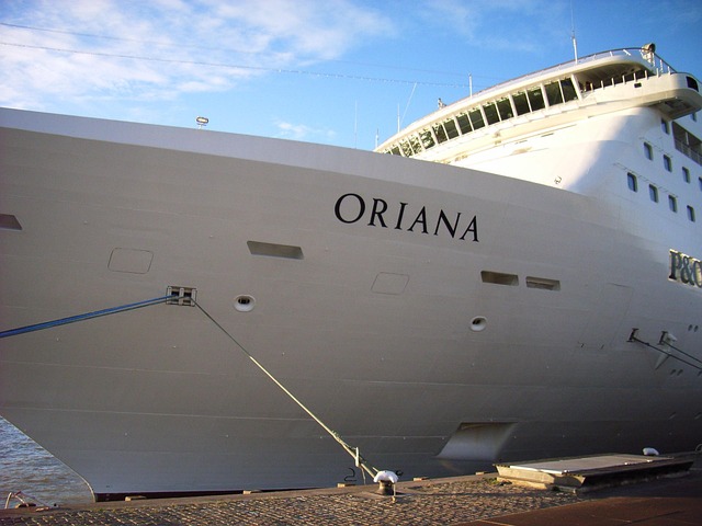 Free Cruise Ship Rotterdam photo and picture
