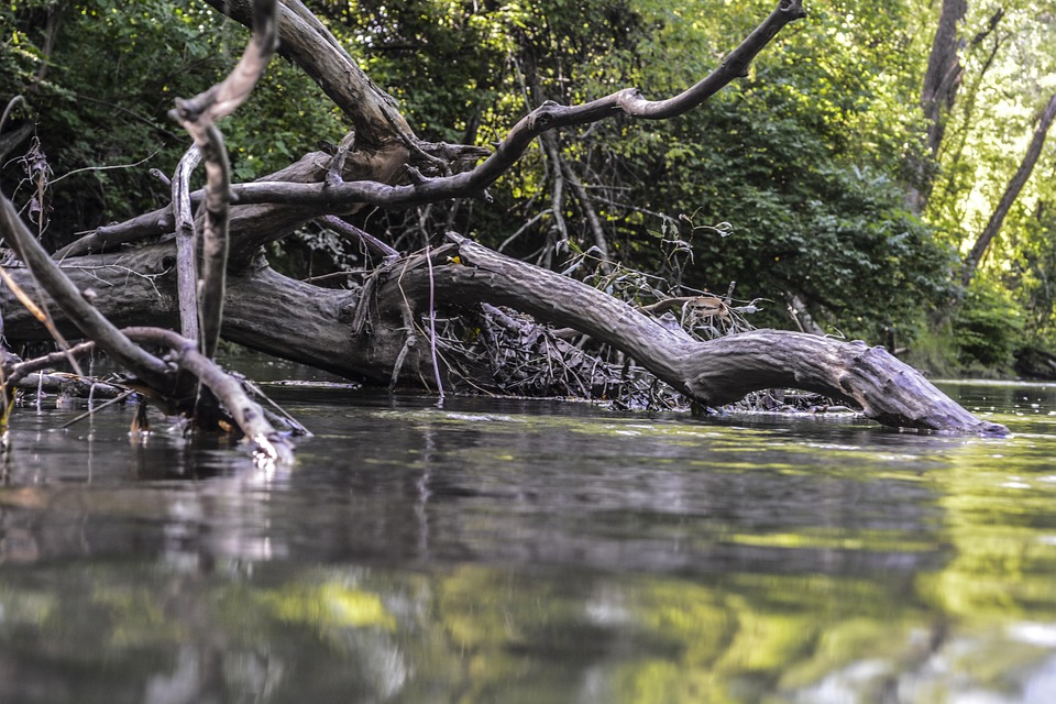 Water Based Images Water Nature Environment - Free photo on Pixabay - Pixabay
