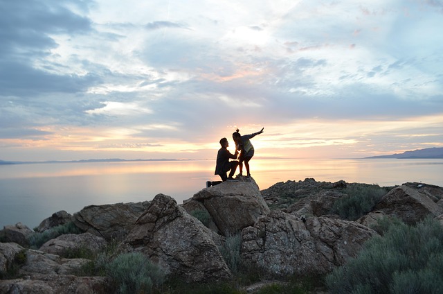 Free Engagement Proposal photo and picture