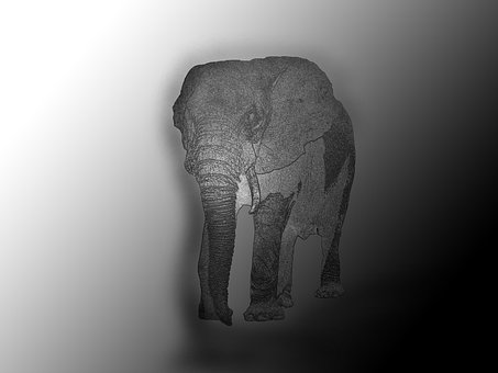 Free Elephant Drawing photo and picture