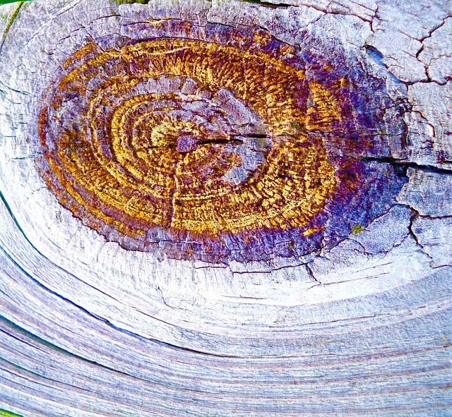 Free Knot Nebula photo and picture
