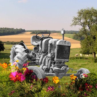 Traktor, Natur, Blumentapete