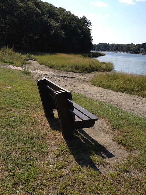 Free Bench Park photo and picture